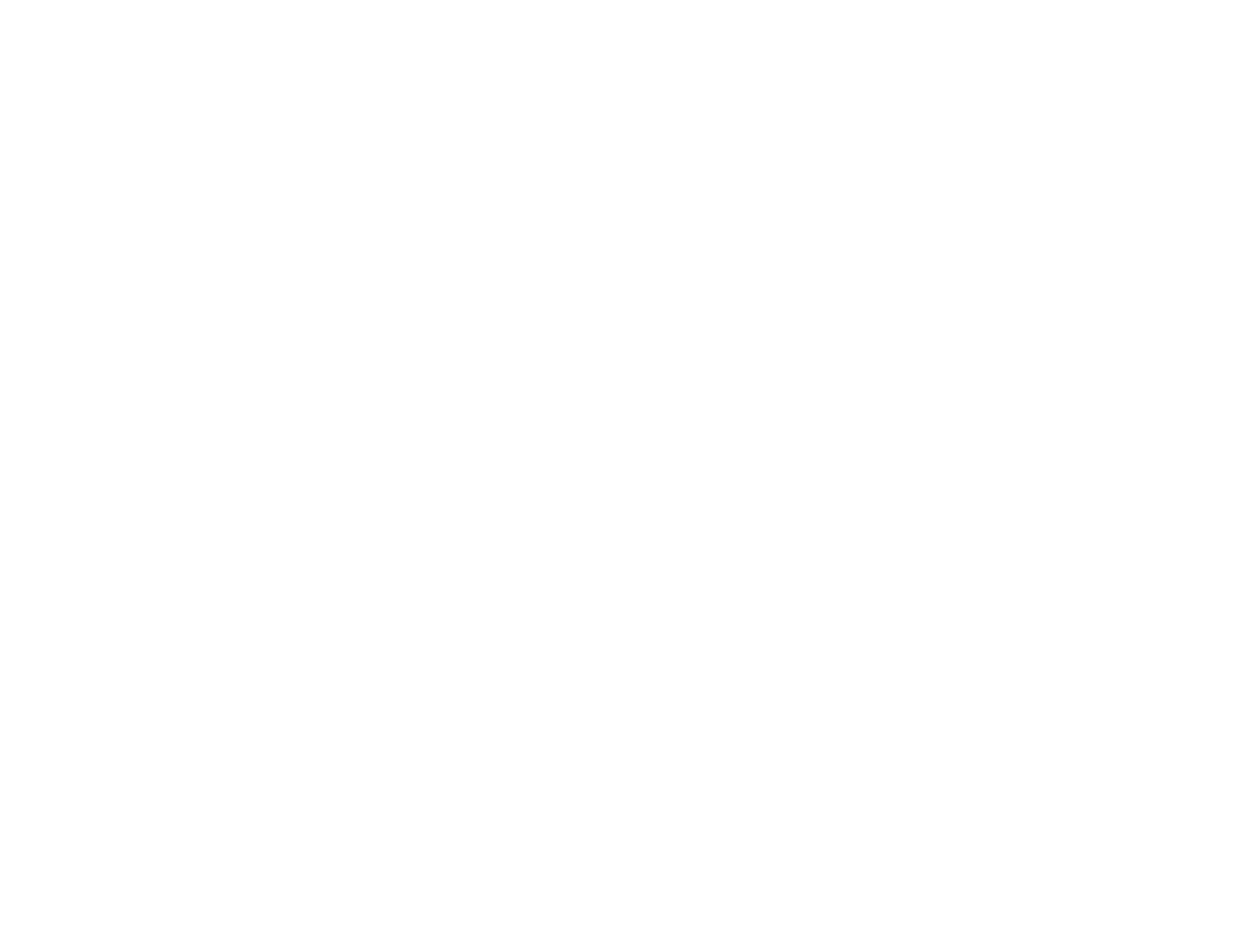 Sanz Healthcare